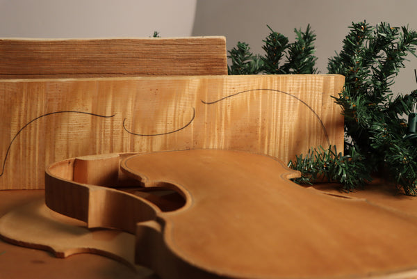 Brief History of the Violin 