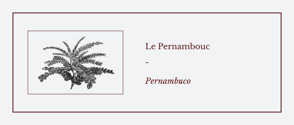 Pernambuco 